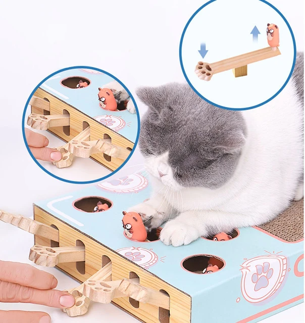 Interactive Toy Cat Hamster Machine Hunting Scratching Bite Accessories Cat Aliexpress