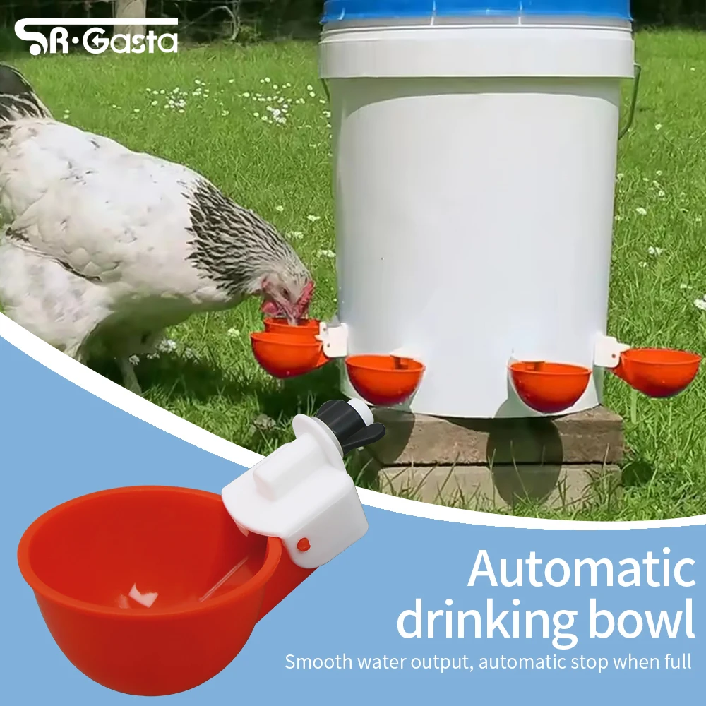 5Pcs Automatic Chic…