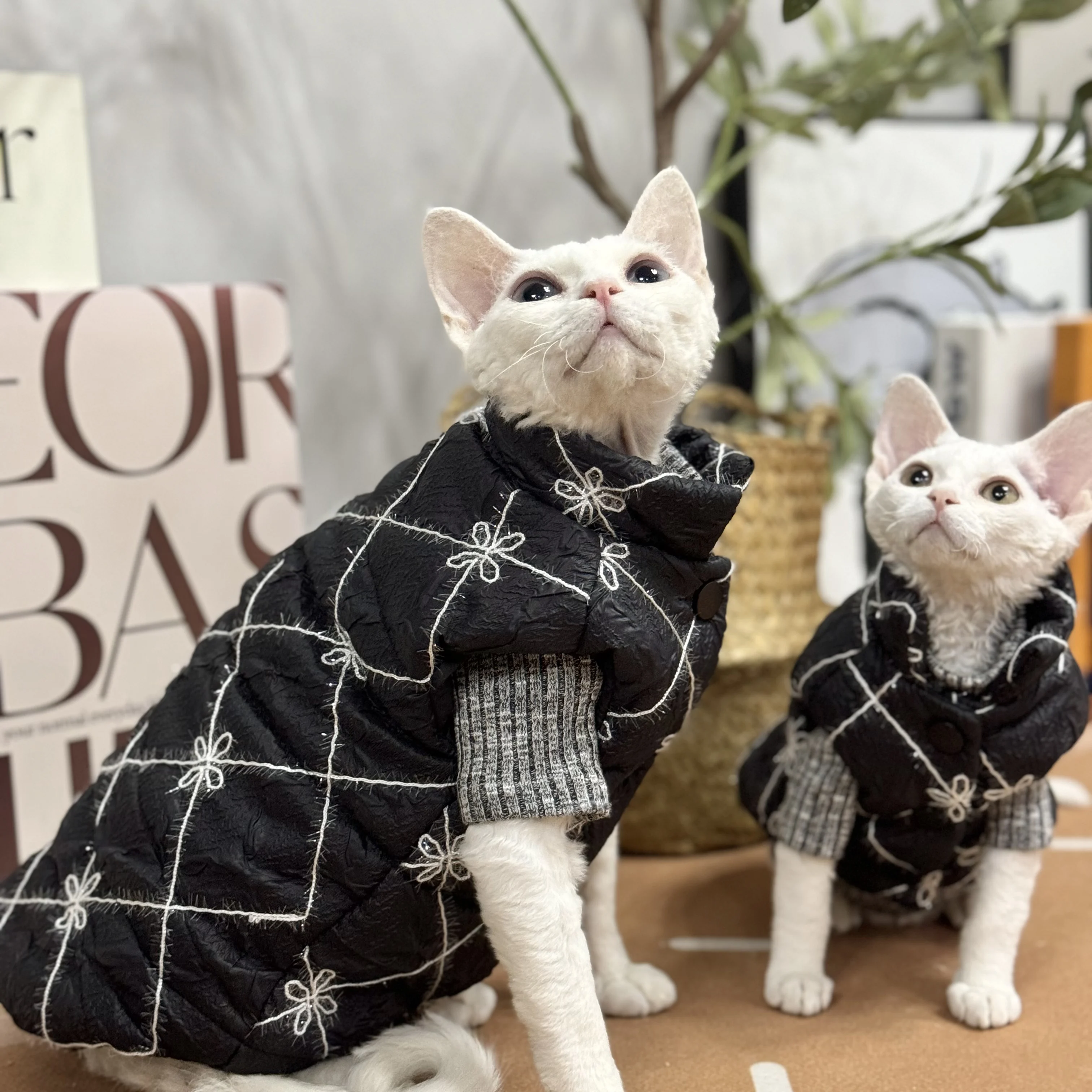 Veste en coton à carreaux noir imbibé pour chat Sphynx, optique d'hiver, pull chaud pour chatons, manteau en dentelle douce pour Devon Rex