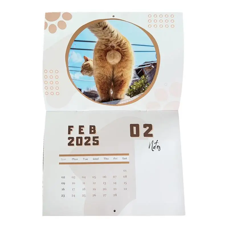 Cat Balls Calendar 2025 Funny Cat Butthole Calendar 12 Month Thick Paper Gag Hangable Monthly Wall Calendar For Cat Lover Family