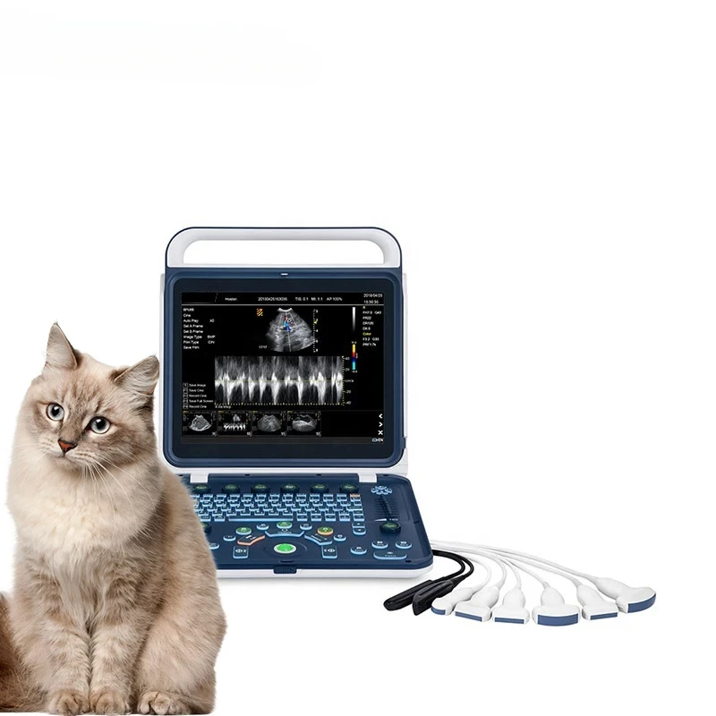 Veterinary Instrument Color Doppler Ultrasound High Quality Diagnostic Tool for Animal Care