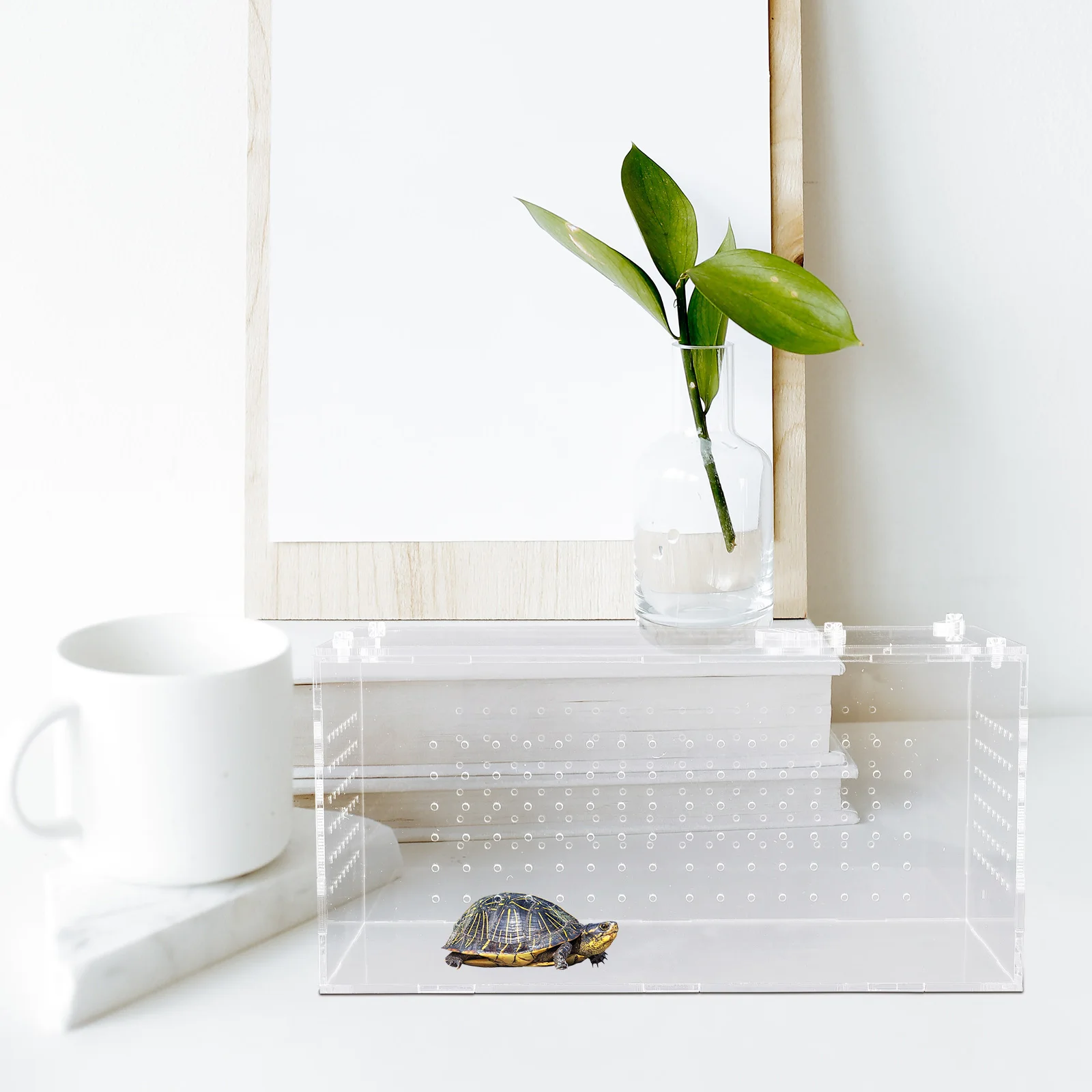 

Sturdy Acrylic Transparent Snake Box Ventilated Cricket Keeper Household Feeding Supplies Portable Lizard Frog Turtle Accessory
