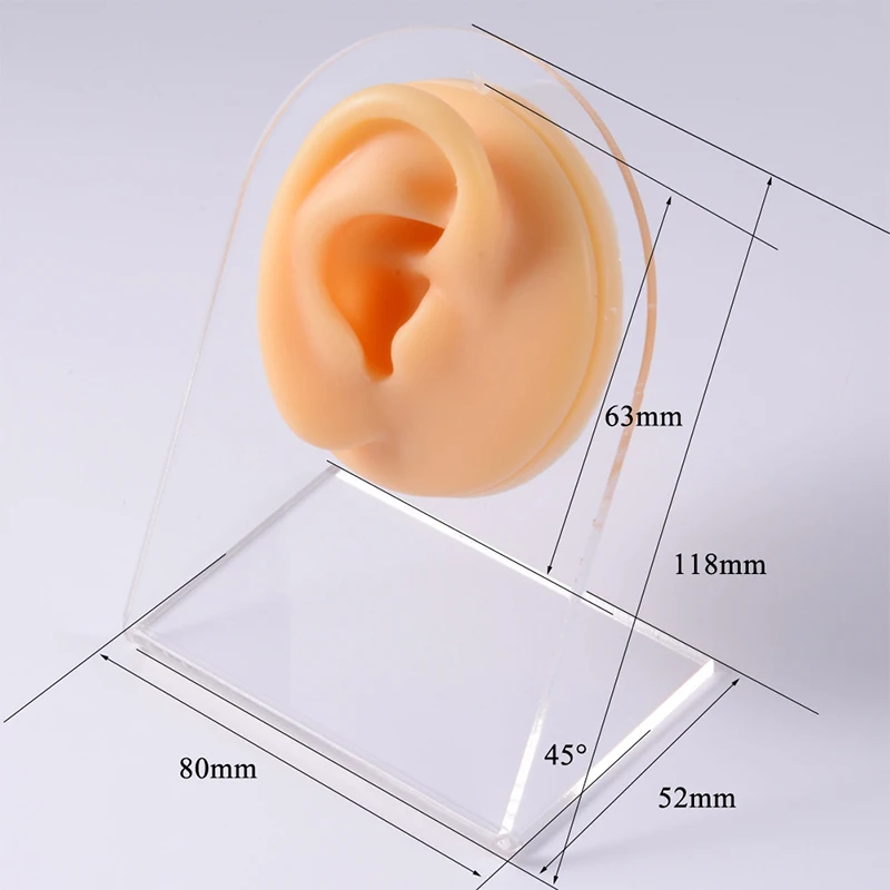 Simulated Silicone Ear Nose Navel Nipple Model Stereoscopic Puncture Training Piercings Jewelry Display Teaching Tool Stand Kit