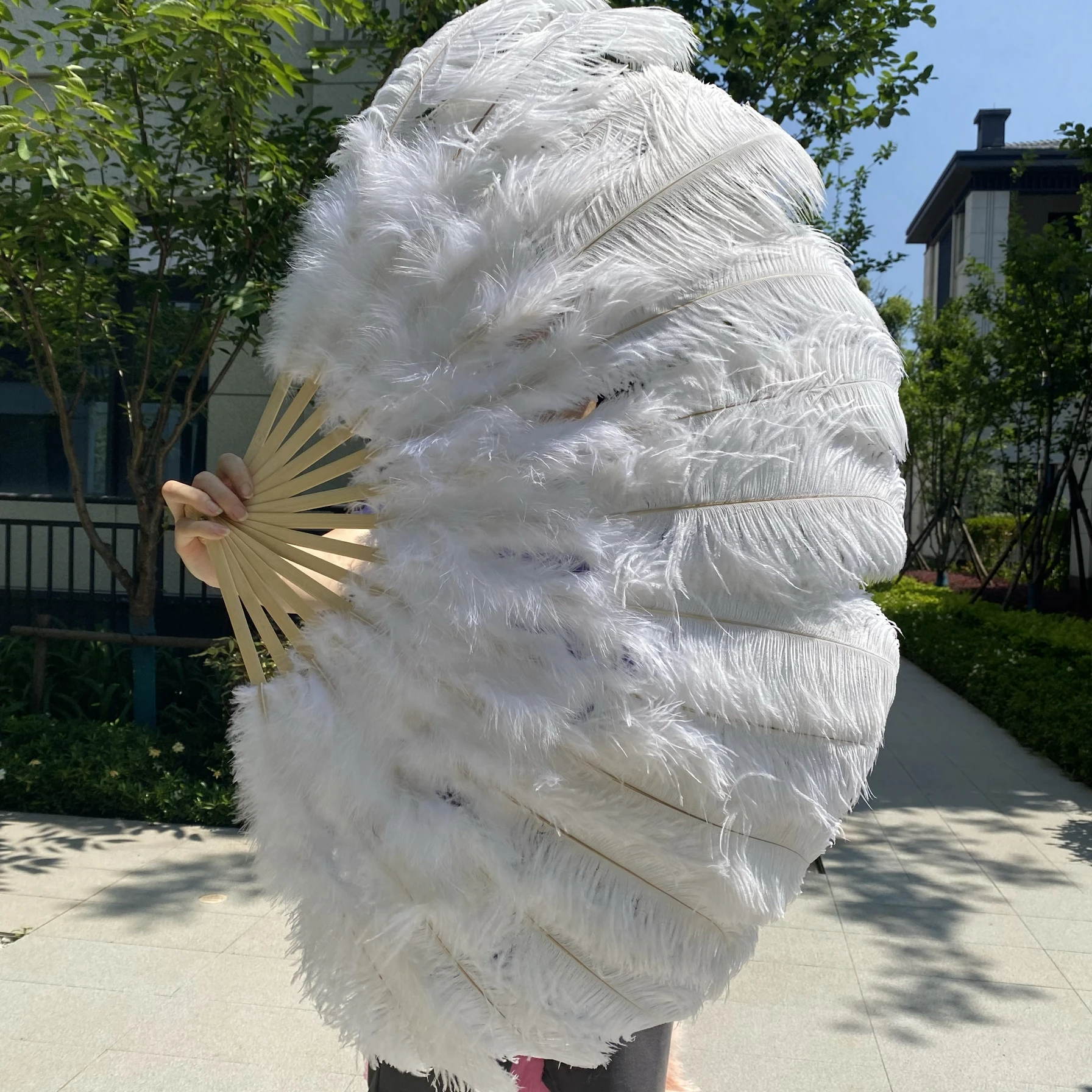 مروحة ريش النعام الكبيرة، والرقص الشرقي، وأداء البار، ودعائم الحفلات الموسيقية، ومروحة الريش #1