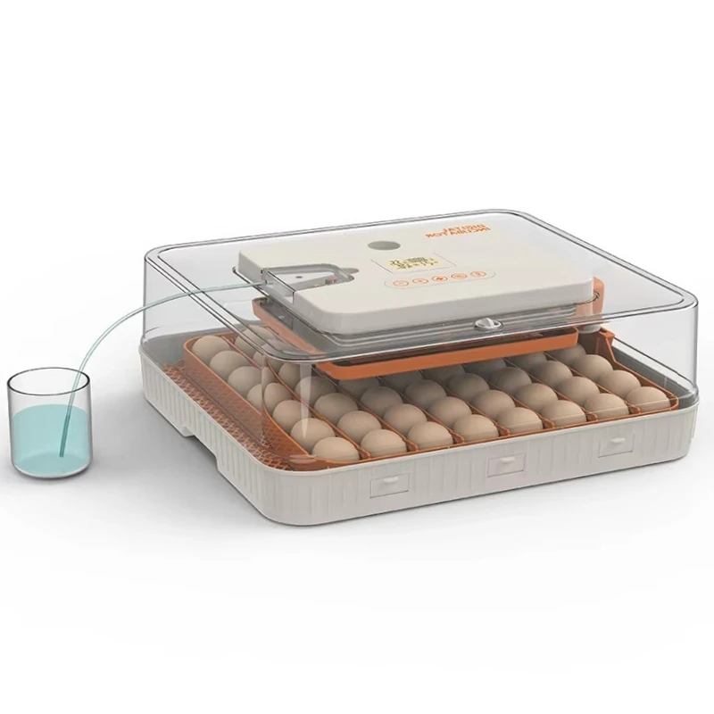 

Advanced High Hatch Rate 50 Incubator Egg Hatching Machine Home Use with Clear LED Display and Automatic Turner
