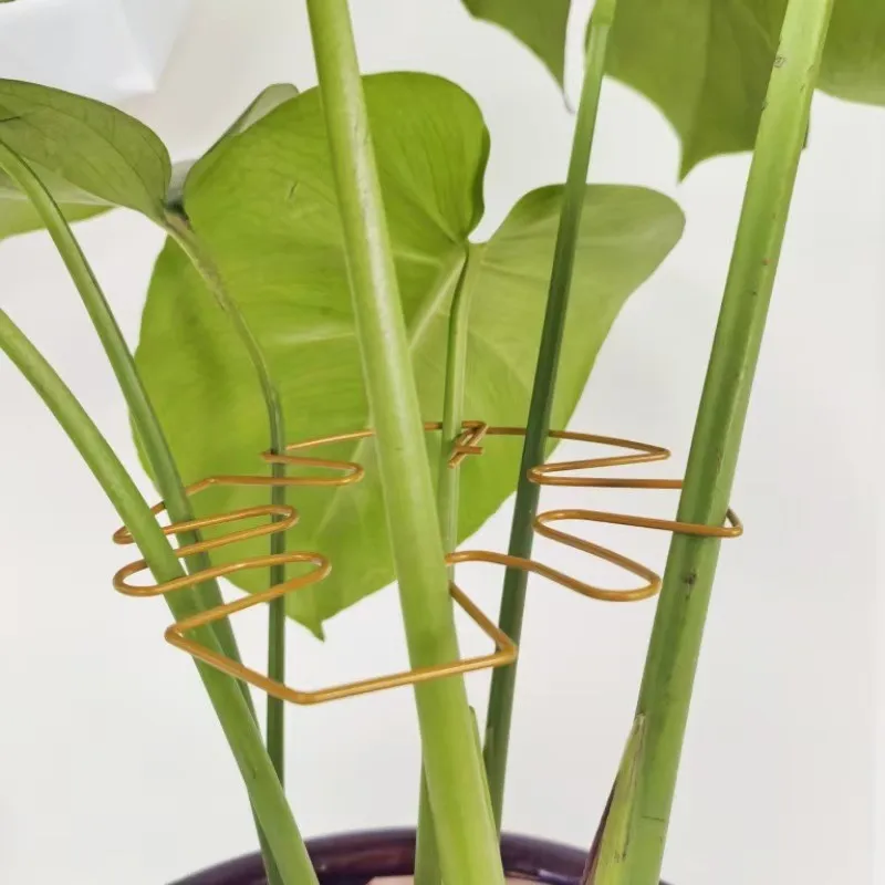 1Pc Large Hanging Plant Support Plant Stand, Iron Hooks, Suitable for Flowerpot Decoration Indoor Outdoor Use Plants Accessories
