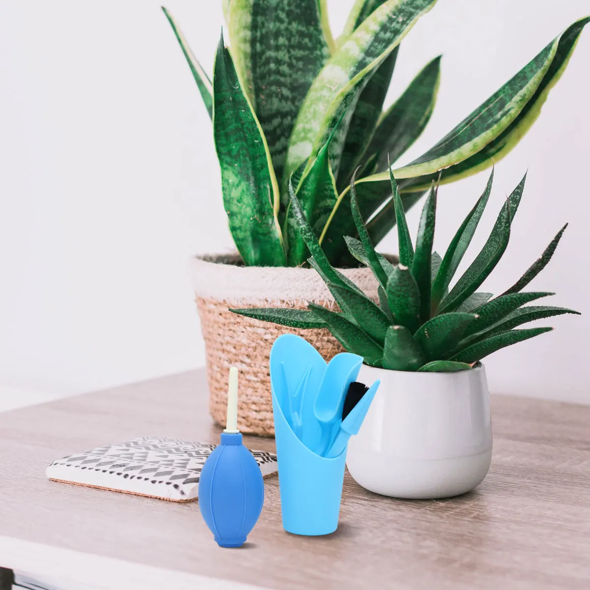 

6pcs Succulents Planting Tool Set Durable Mini Garden Shovel For Seedlings Transplanting Creative Potting Kit Blue