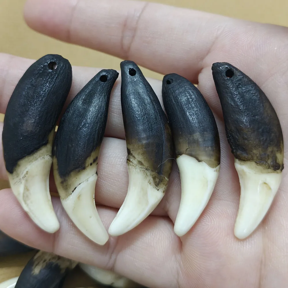 Retro Black Teeth High Imitation Wolf Fang Pendant Wholesale Teeth 4 Pcs Tribal Design Charm Pendant Only For Jewelry DIY Making
