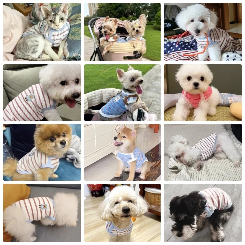 Summer Striped Pet Dog Shirt Fashion Dog Vest for Small Dogs Breathable Puppy Two-Legged Clothes Cute Cat Vest Pet Dog Clothes