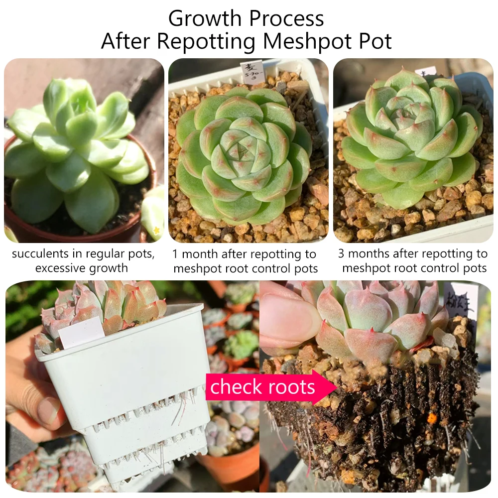 Meshpot-maceta cuadrada de plástico para plantas suculentas, juego de bandejas, maceta para guardería, maceta para plantas de Cactus, maceta para