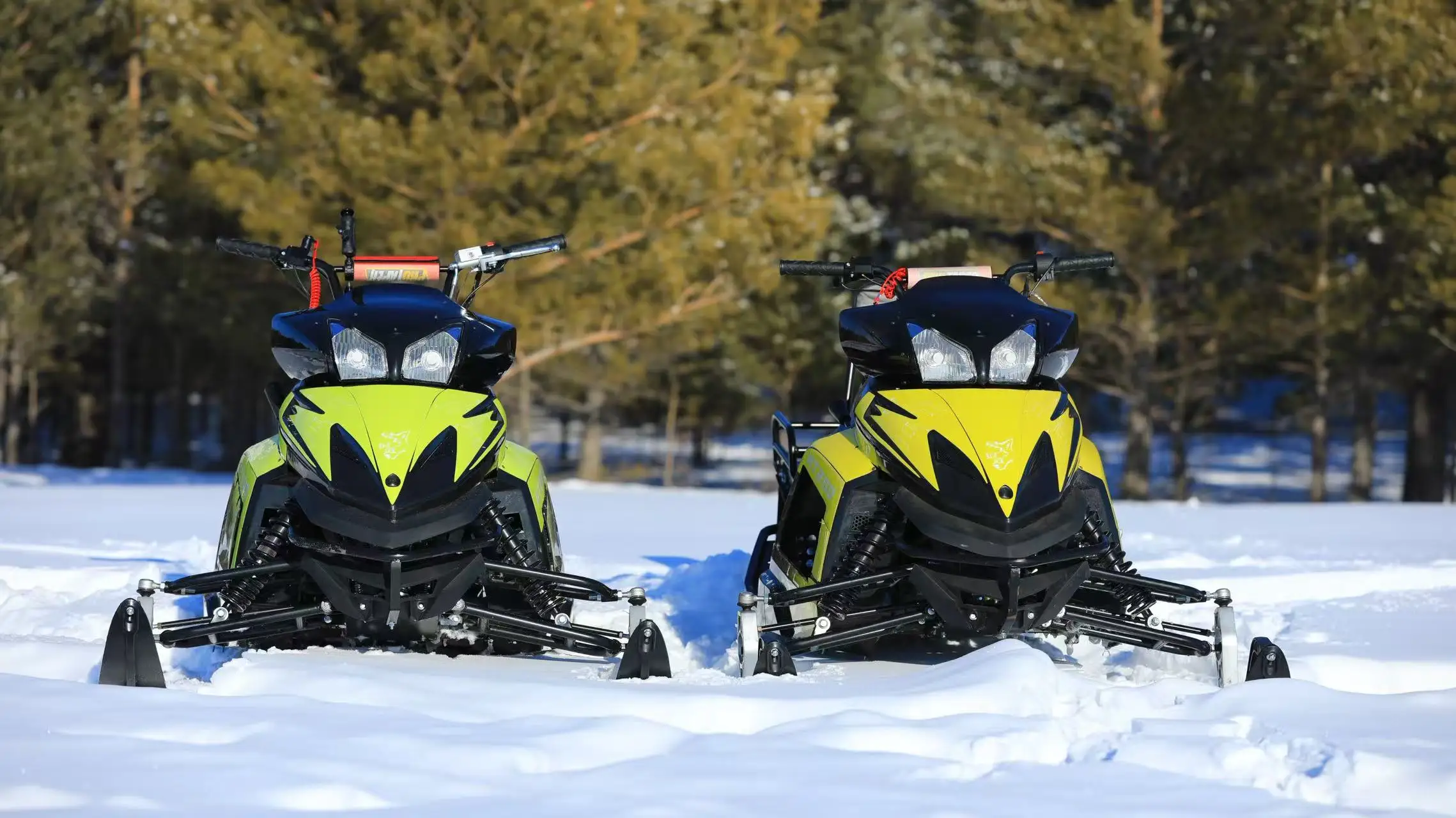 150cc 200cc for  Snowmobile 4 Wheel Mini Snowmobile
