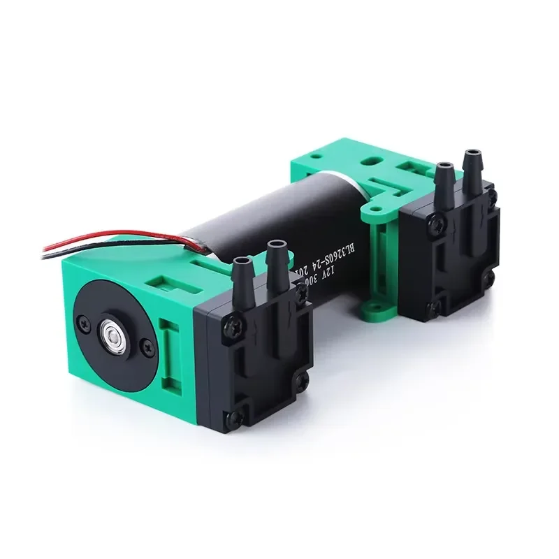 Dual-head Micro Vacuum Pump 12V High Negative Pressure Pump 24V Small Air Pump Adjustable Speed Brushless Motor Compressor