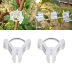 50/100 Pcs Vegetable Fruit Grafting Clip Watermelon Strawberry Tomato Transparent Plant Support Clamp Gardening Accessories
