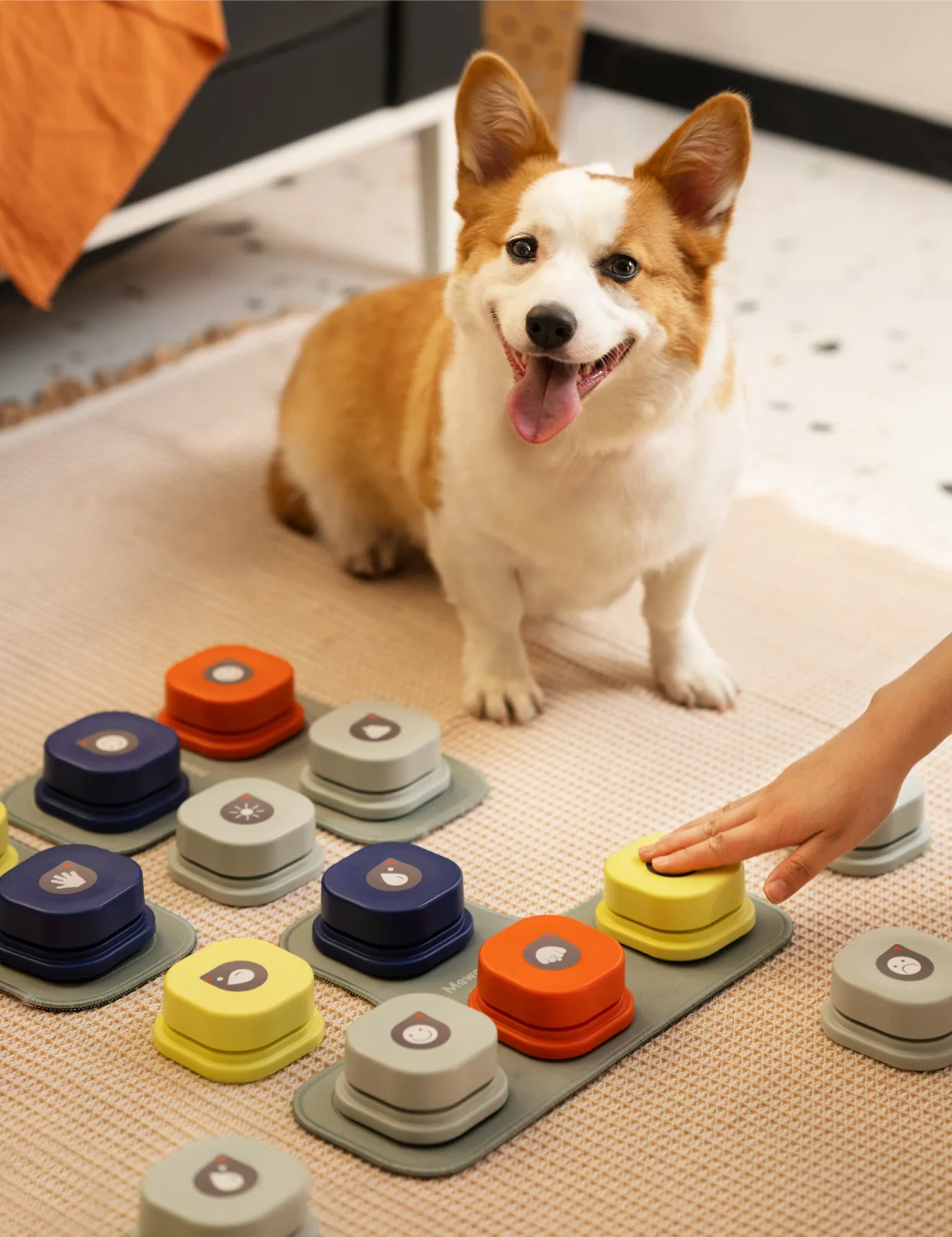 

Dog Communication Vocal Training Button Interactive Toy Bell Ringer With Pad and Sticker Easy To Use Dog Recording Voice Speaker