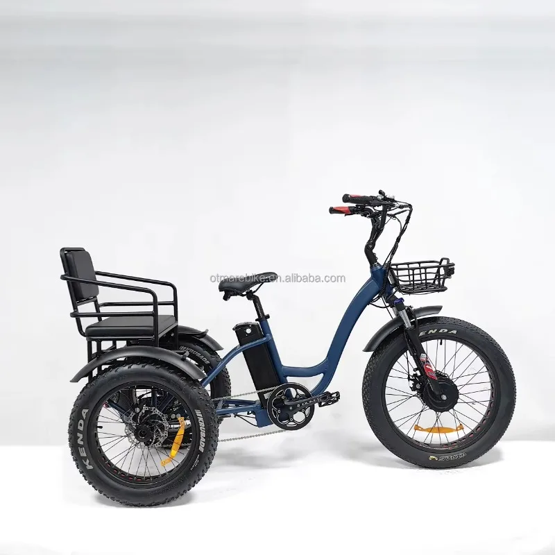 Two Person Electric Tricycle 3 Wheel 24inch Cargo Trike with Aluminum Alloy Frame and Lithium Battery