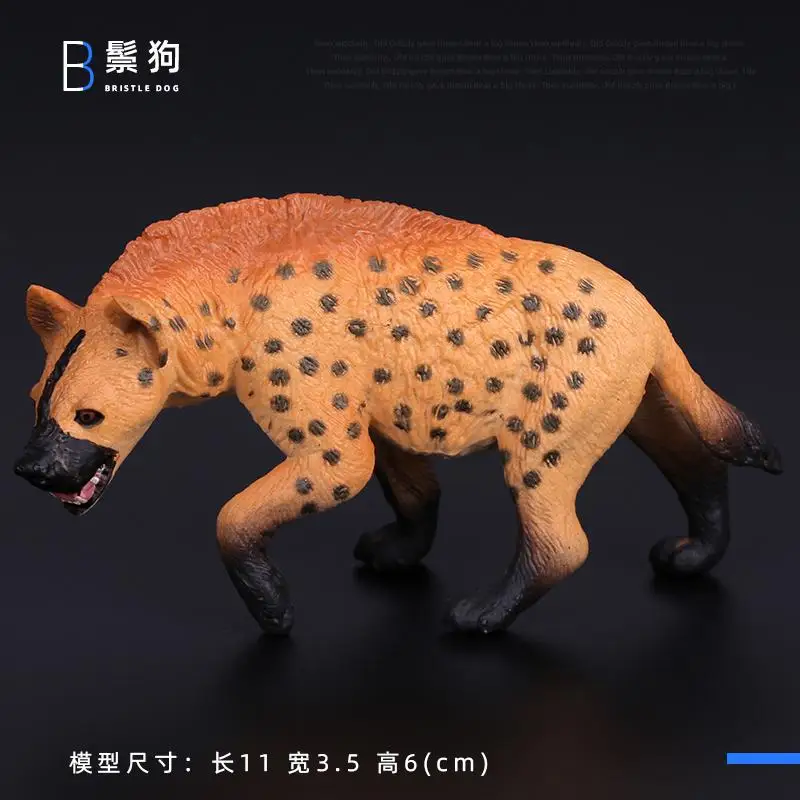 Simulatie Wilde Beeldjes Zwarte Beer Wombat Wasbeer Model Actiefiguren Bosdieren Speelgoed Woondecoratie Kinderen Onderwijs