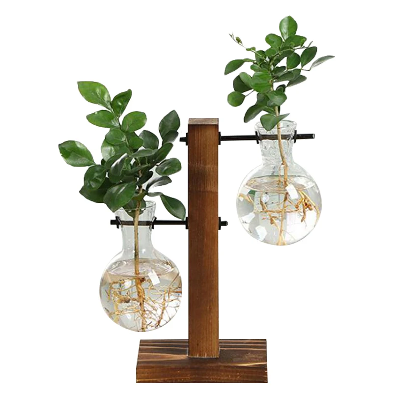 Terrarium Hydroponic Plant Vazen Vintage Bloempot Transparant Vaas Houten Frame Glazen Tafelblad Planten Thuis Bonsai Decor