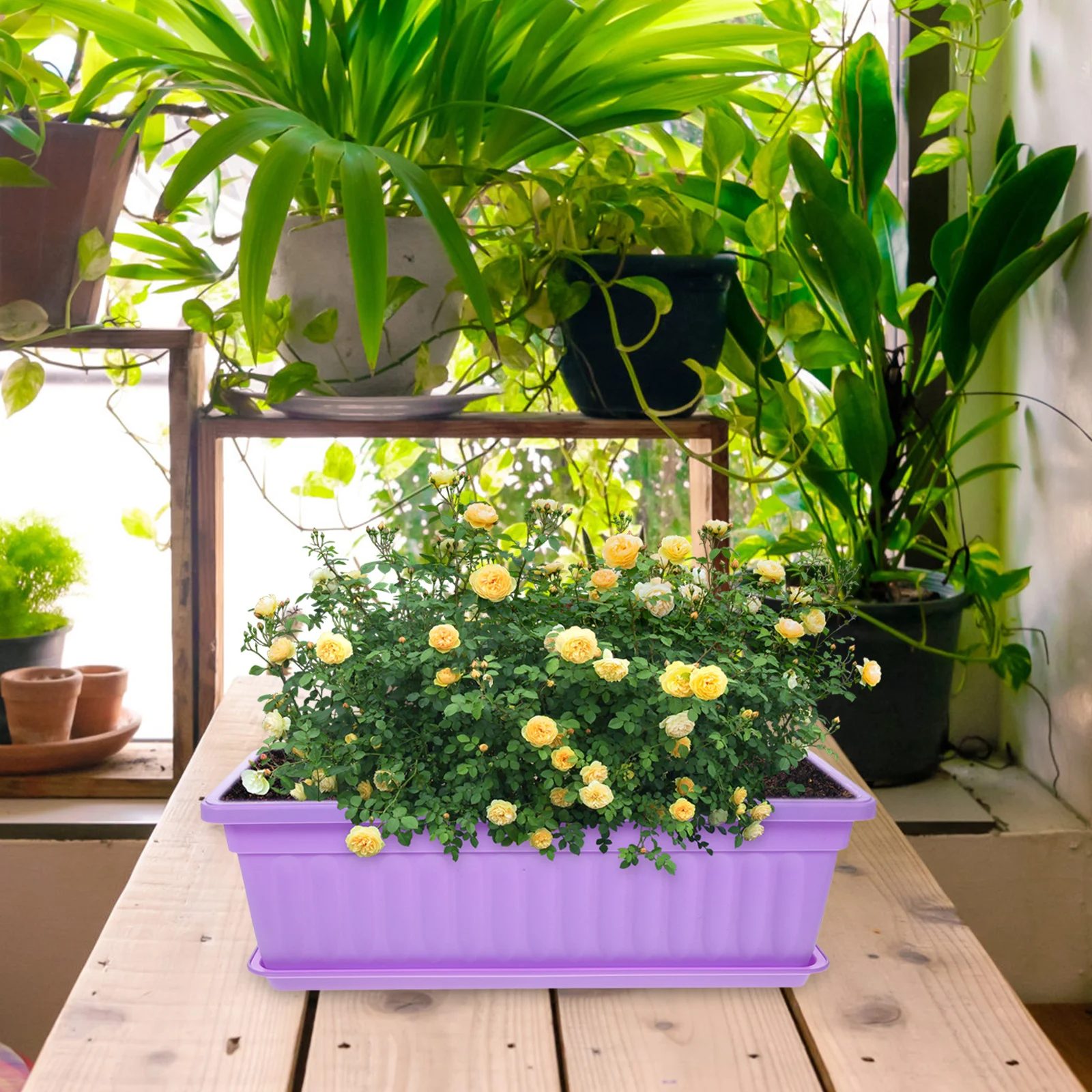 

4 set Rectangular Window Flower Box Planter With Tray Balcony Garden Windowsill Trough For Indoor Outdoor Planting Succulents