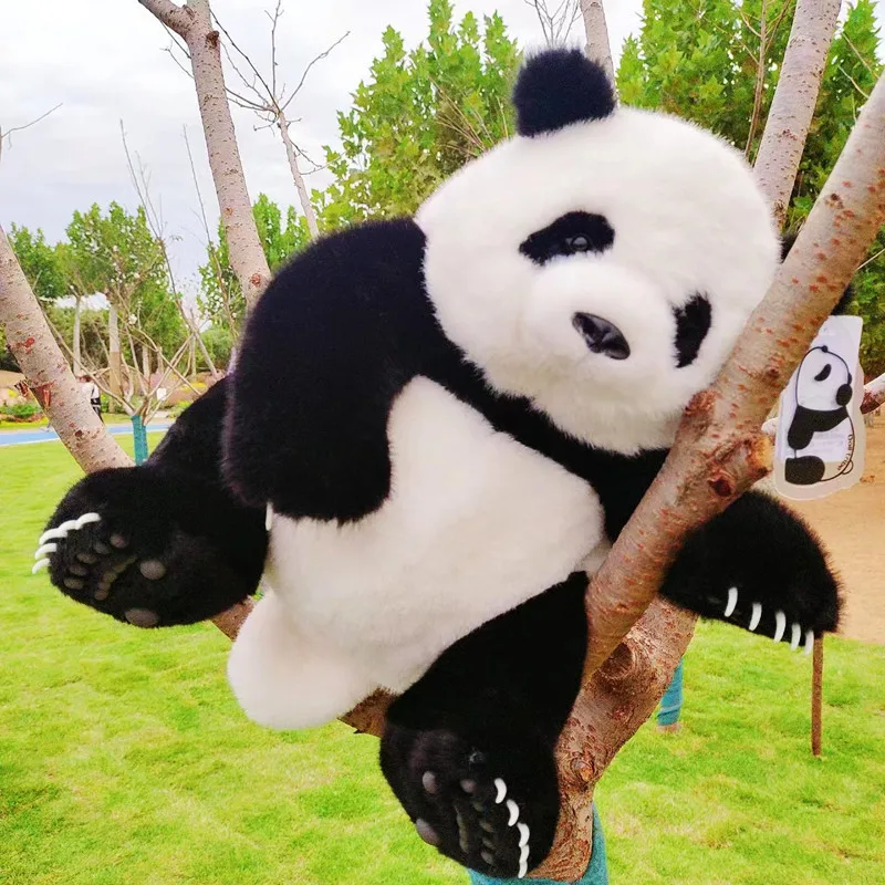 Panda Hua Hua Doll Plush Toy 100%Polyester Fiber Doll Chengdu Zoo Souvenir 35cm Kawaii Plushie Children Birthday Gift Toys