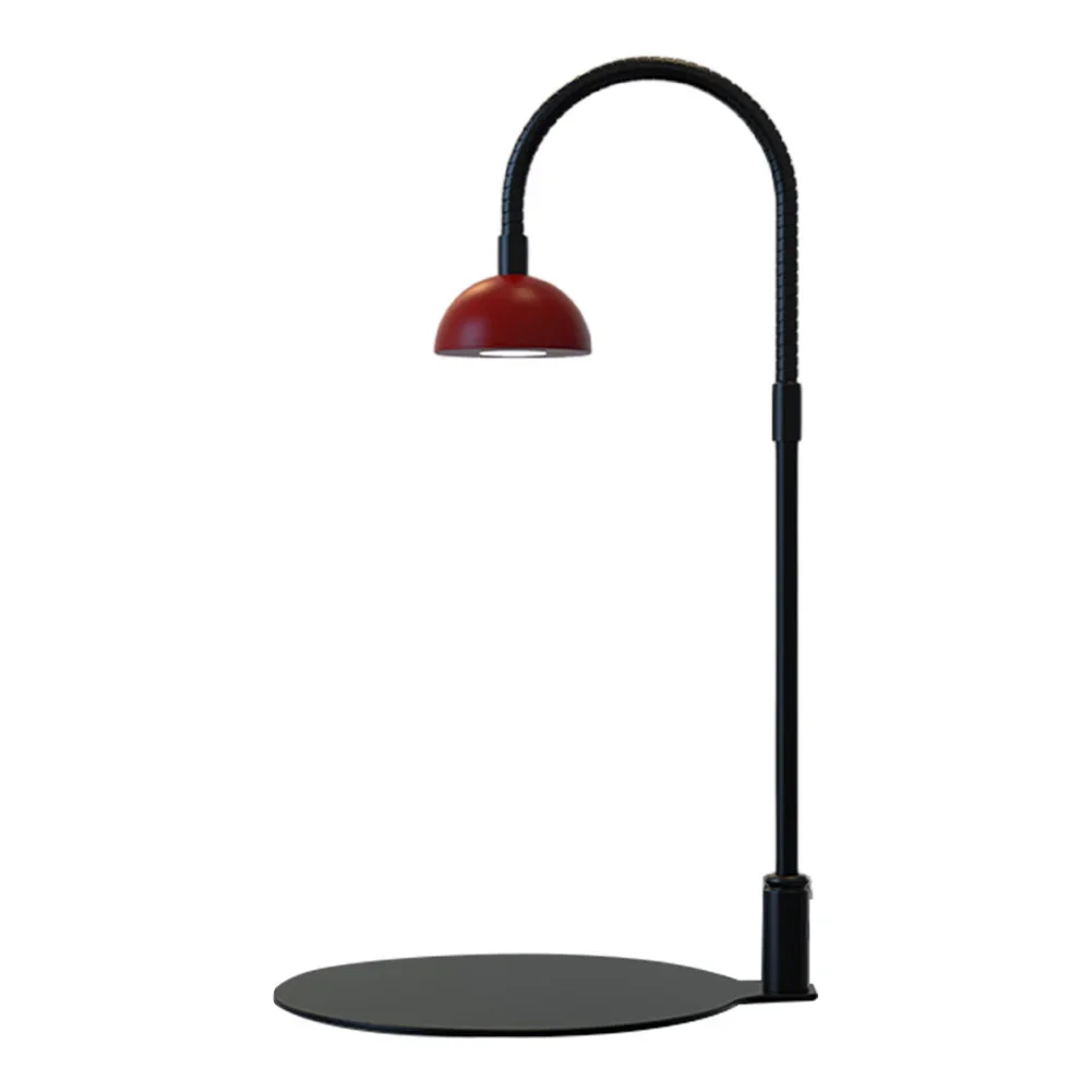 

Micro Landscape Plant Growth Lamp with Timmer Small Plants Growth Light Height Adjustable for Desktop Glass Plant Terrarium