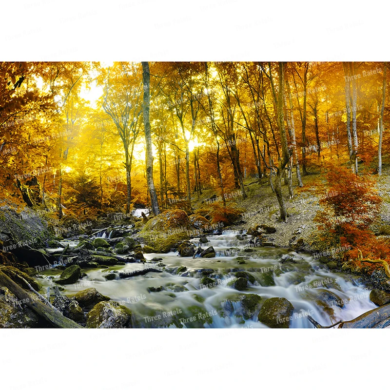 Three Ratels QL12 Beautiful autumn red maple landscape poster art home decoration wall sticker PVC waterproof self-adhesive