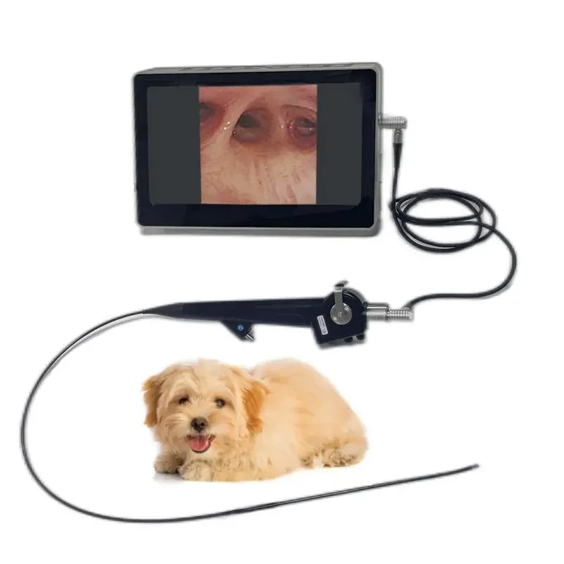 Pet Hospital Bronchoscope diameter 3.0mm small animal veterinary Laryngoscope