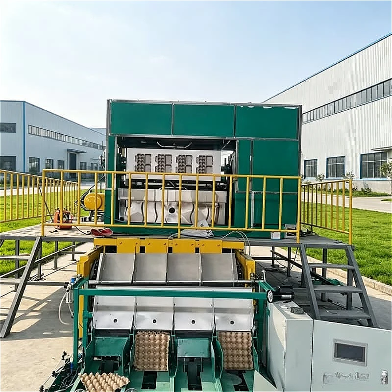 Africa Market Small Egg Tray Making Machine Easy Operation Waste Paper Pulp Molding Production Equipment With Customized Voltage