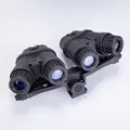 NVG model