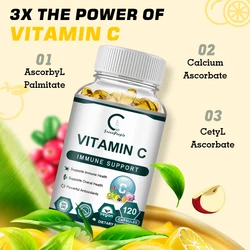 Vitamin C Capsules 1000 mg Nutritional Supplement Rich In Antioxidants Suitable for Adults and Children Vitamin Dietery Suppleme