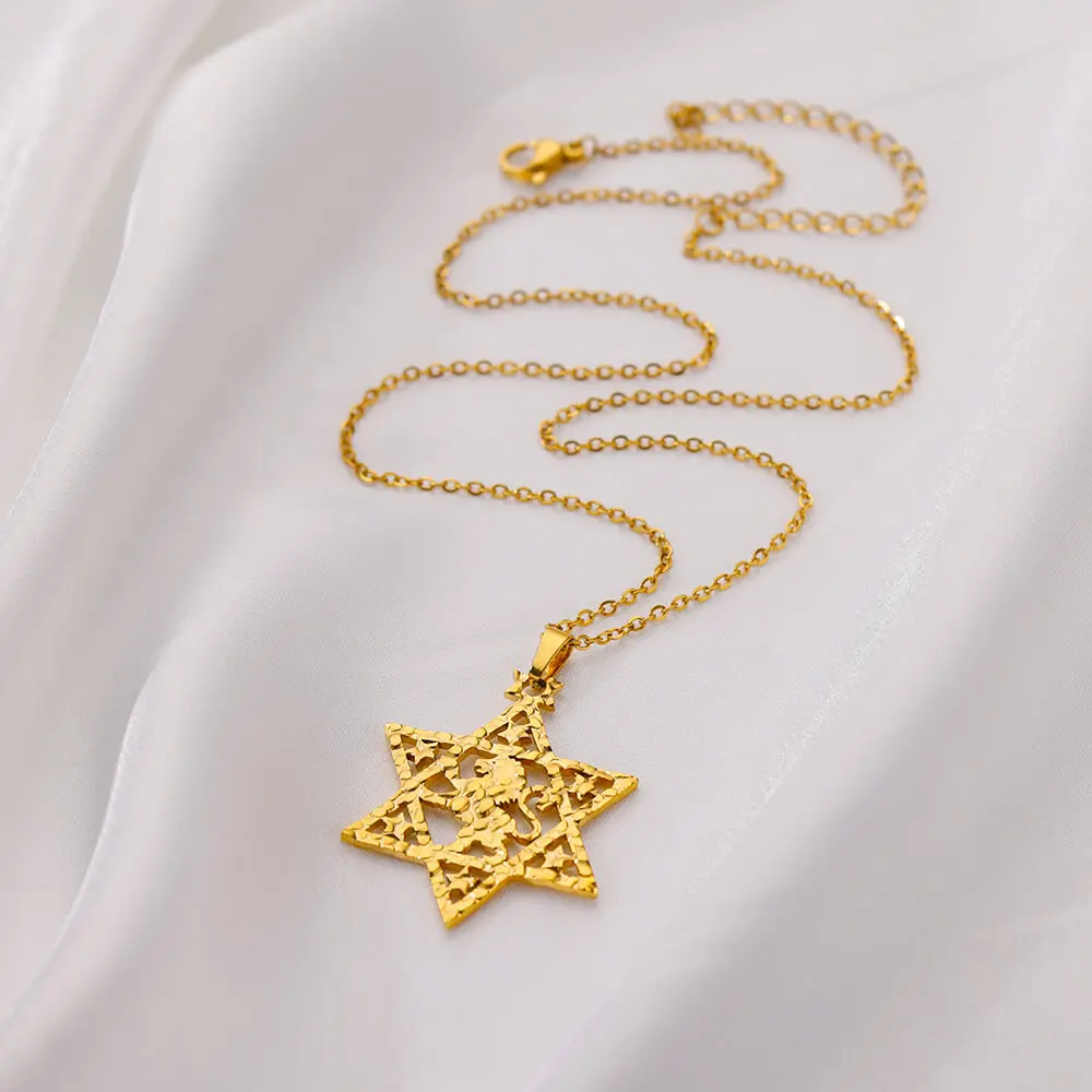 Lion Star of David Necklaces For Women Men Gold Color Stainless Steel Pendant Necklace Male Female Neck Chain Jewelry