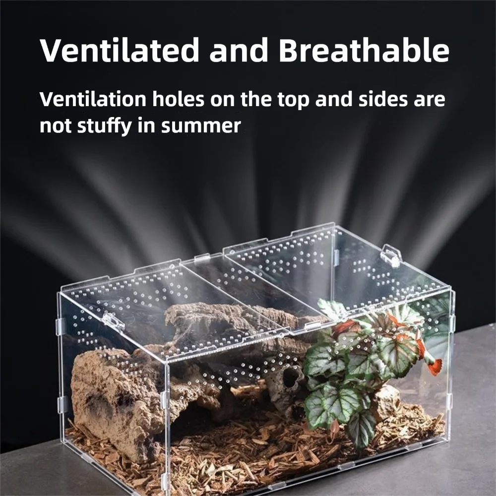 Durable Acrylic Reptile Habitat Anti-Escape Multiple Size Lizard Breeding Box Clear Arboreal Spider Feeding Case for Chameleon