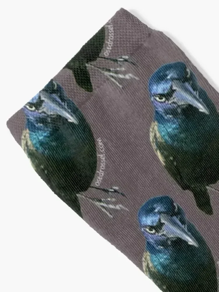 Count Grackula Socks sheer cool funny gift Men's Socks Luxury Women's