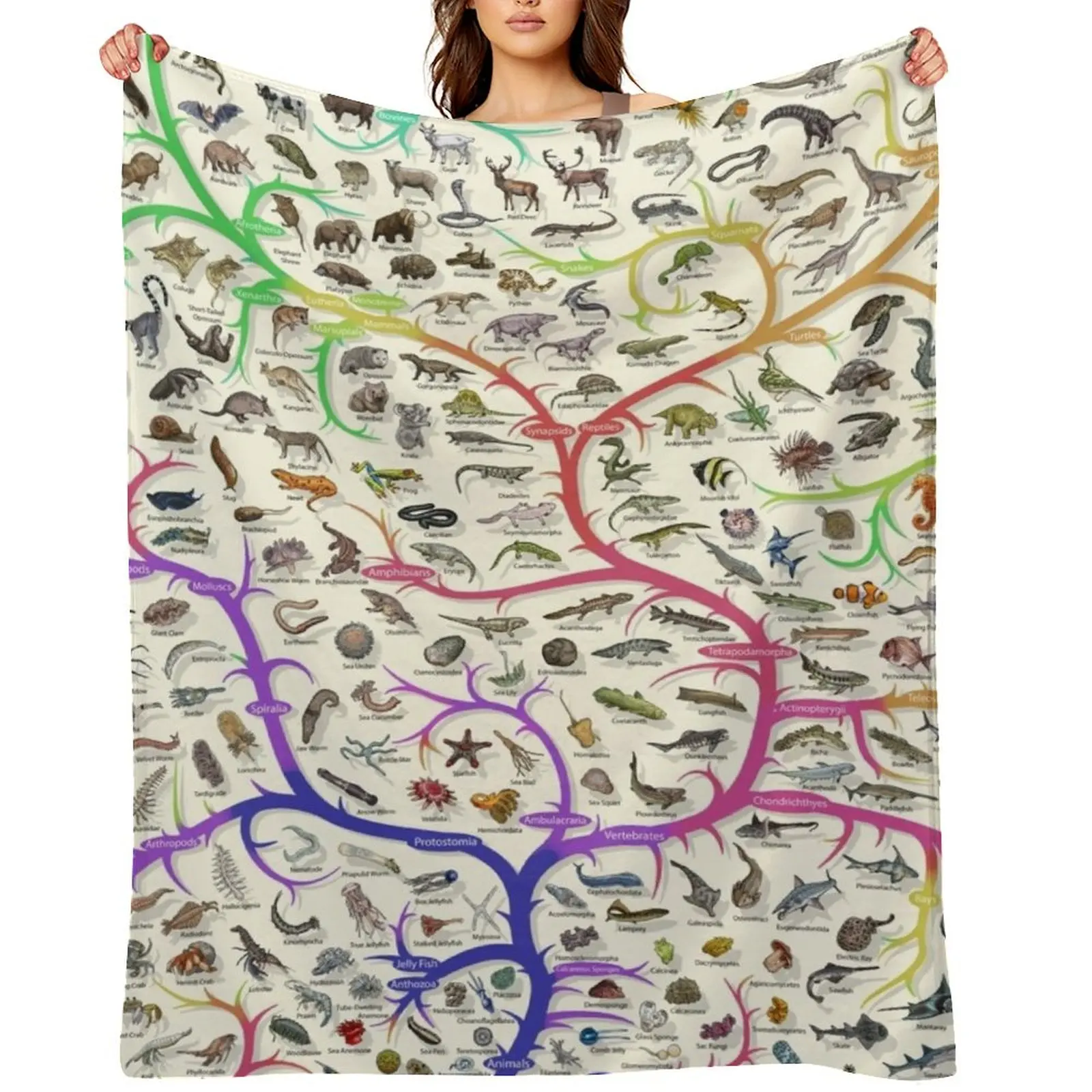 Animal Tree of Life Poster - Evolution - Colour (English Annotations) Throw Blanket Softest Bed Beach Blankets