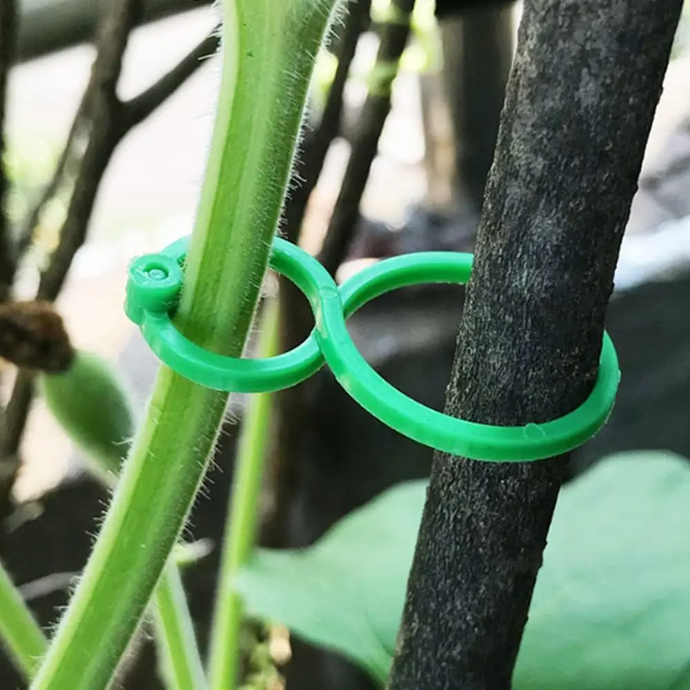 Clips de fijación de plástico para plantas, herramientas de soporte para plantas, escaladores de vid, accesorios de jardinería, tomatovegetales, 50