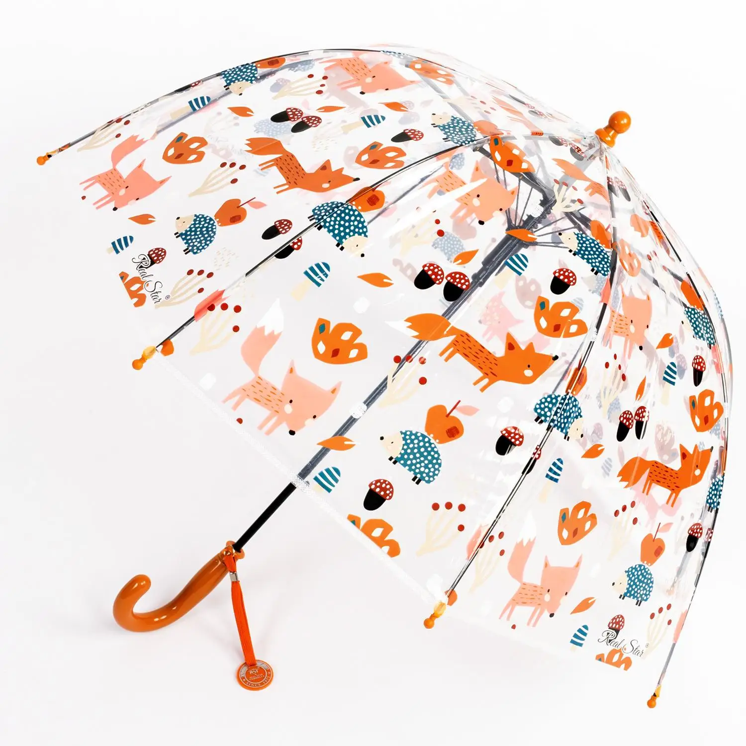 

Cute Little Transparent Umbrella Long Handle Small Lightweight Cartoon for Kindergarten Girls Primary School Boys