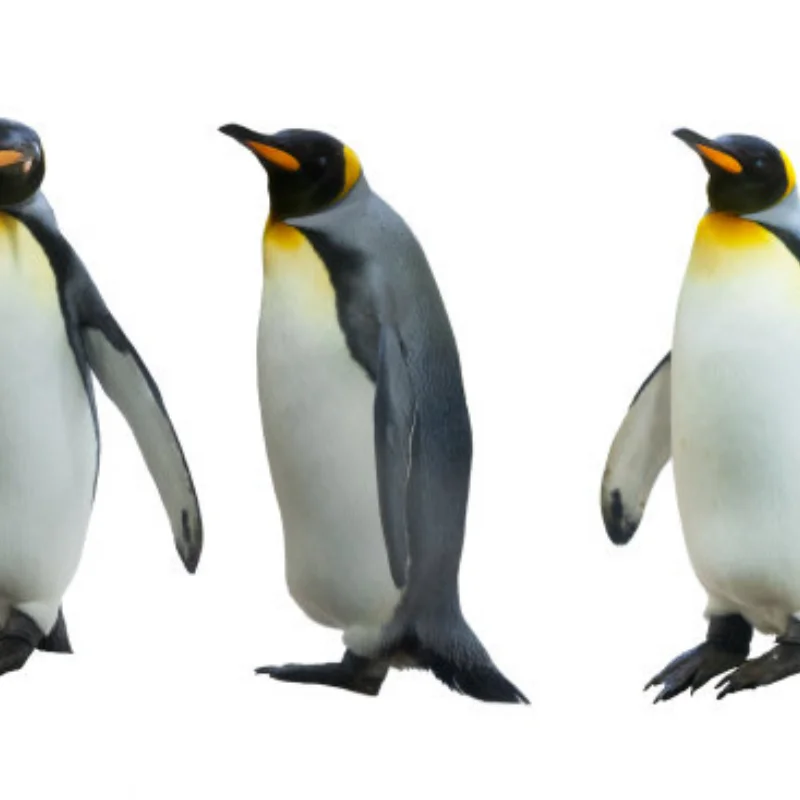 

4 шт. грузовик для пустыни 110 мм RC резиновые губчатые шины обод колеса шины 12 мм ступица шестигранная для RC 1/10 автомобиля HSP Off Road