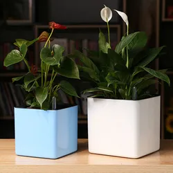 Garden Flower Pot Self Watering Succulents Plant Starter with Water Level Indicator Indoor Outdoor Decorations Flowerpot FU