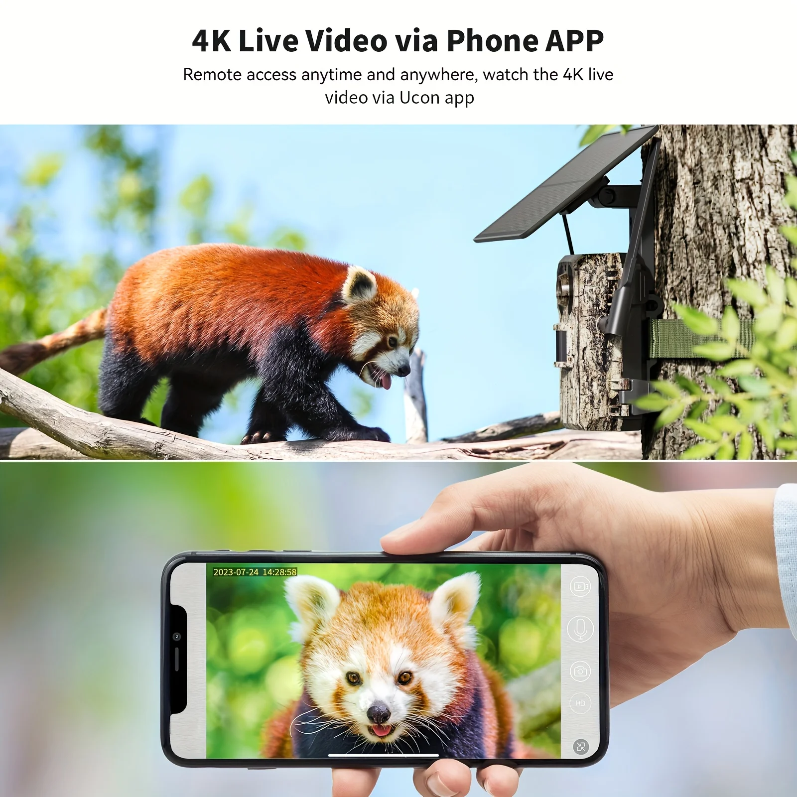 

4G LTE Solar Cellular Trail Camera, 4K Remote Real-Time Viewing, HD Night Vision, Built-In SIM Card, IP65, Hunting Camera Suitab