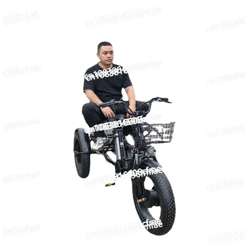 

20 Inch Fat Electric Bike 3 Wheeled Electric Tricycle with Passenger Seat for Adult 48v 500w Powerful Lithium Battery Removable