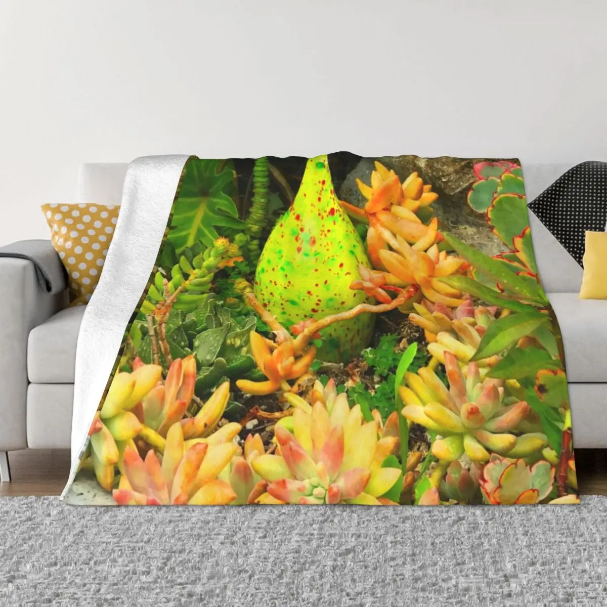 Contemporary, Colorful Succulents in Vintage Clay Pot Art Photo Throw Blanket Fluffy Soft Blankets Softest Blanket