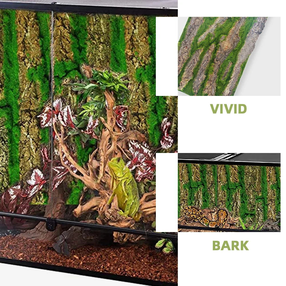 Reptile Box Backdrop Fogger Landscape Photography Board Animal 3d Aquarium Background