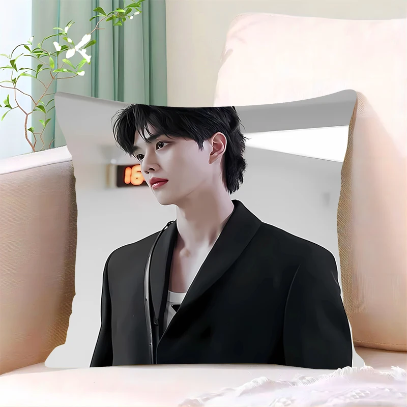 Pillow Cover Birthday Wedding Gifts 40x40 Cushions Covers S-Song Kangs Dakimakura Fashion Throw Pillows iving room Pillowcase