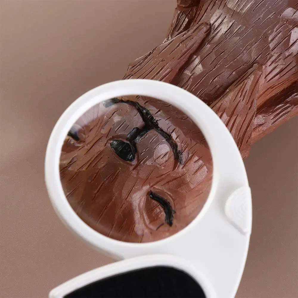 Pocket With Light F…