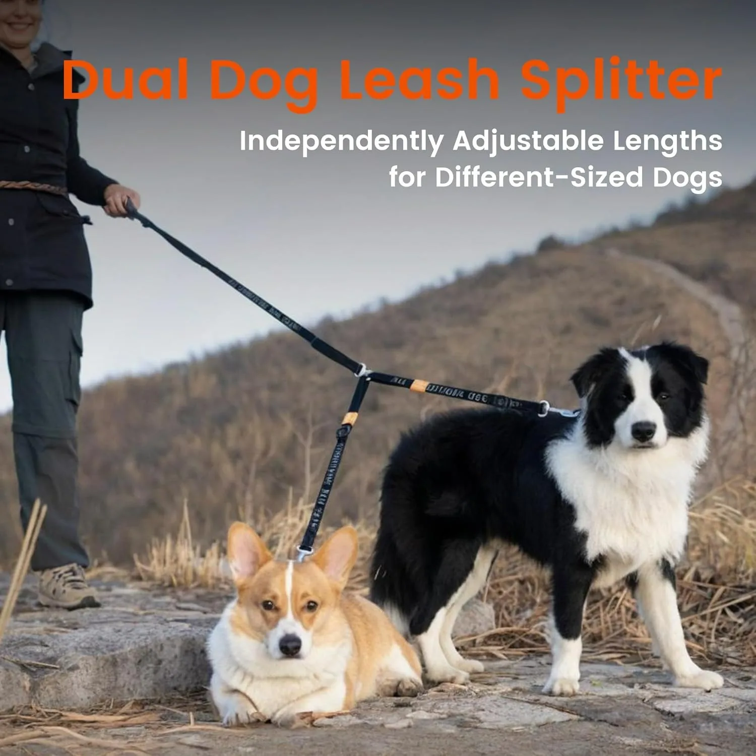 Double Dog Leash No Tangle Dual Dog Leash Lead Coupler Splitter Adjustable Two Handle Training Walking for Medium and Large Dog