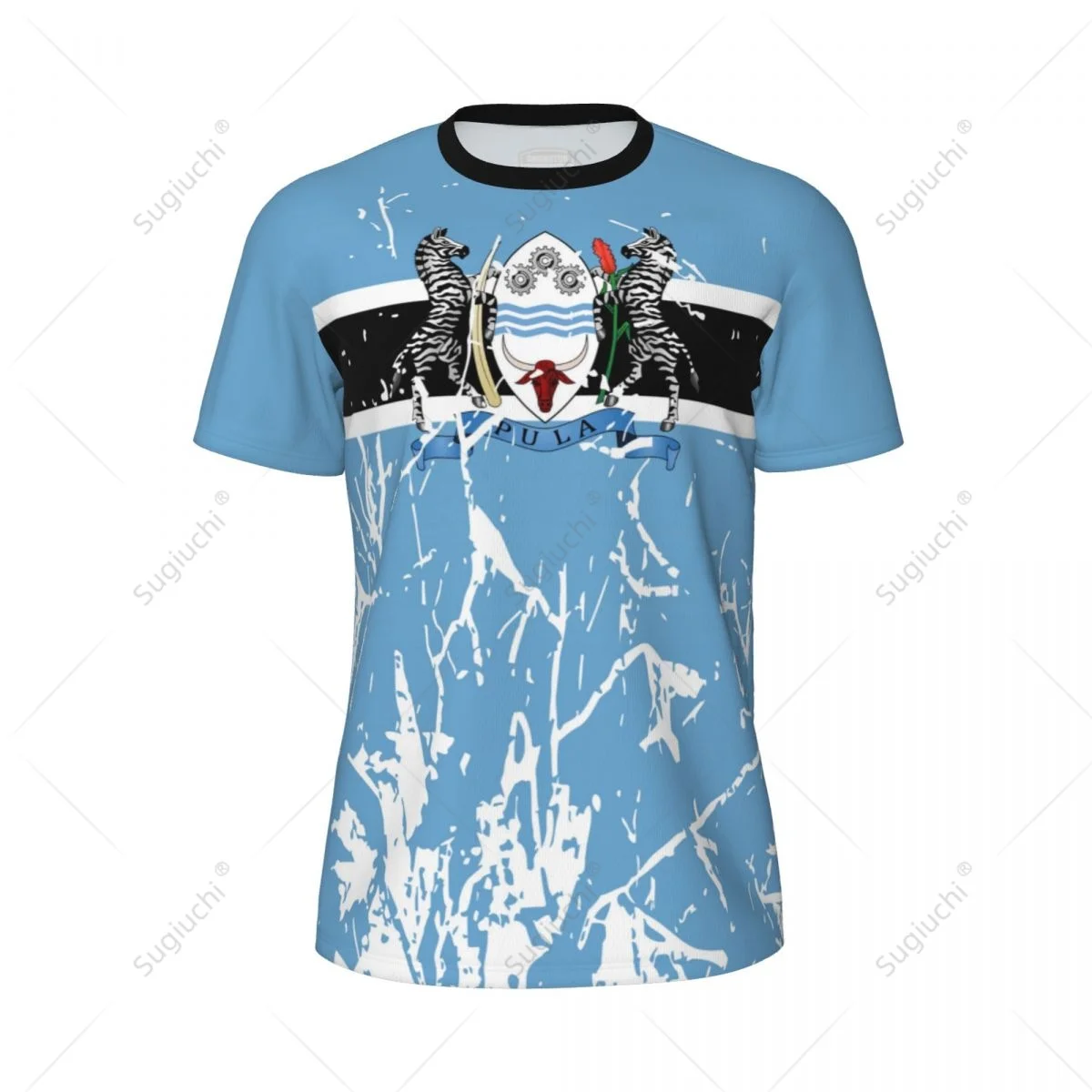 Exclusive design Botswana Flag Grain 3D Printed Men For Running Bike Soccer Tennis Fitness Sports tshirt Mesh Fans Short T-shirt