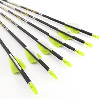 12pcs Carbon Arrows Spine 350-1000 ID4.2mm 30.5inch Arrow Shaft 1.75inch Plastic Vanes Compound/Recurve Bow Archery Hunting