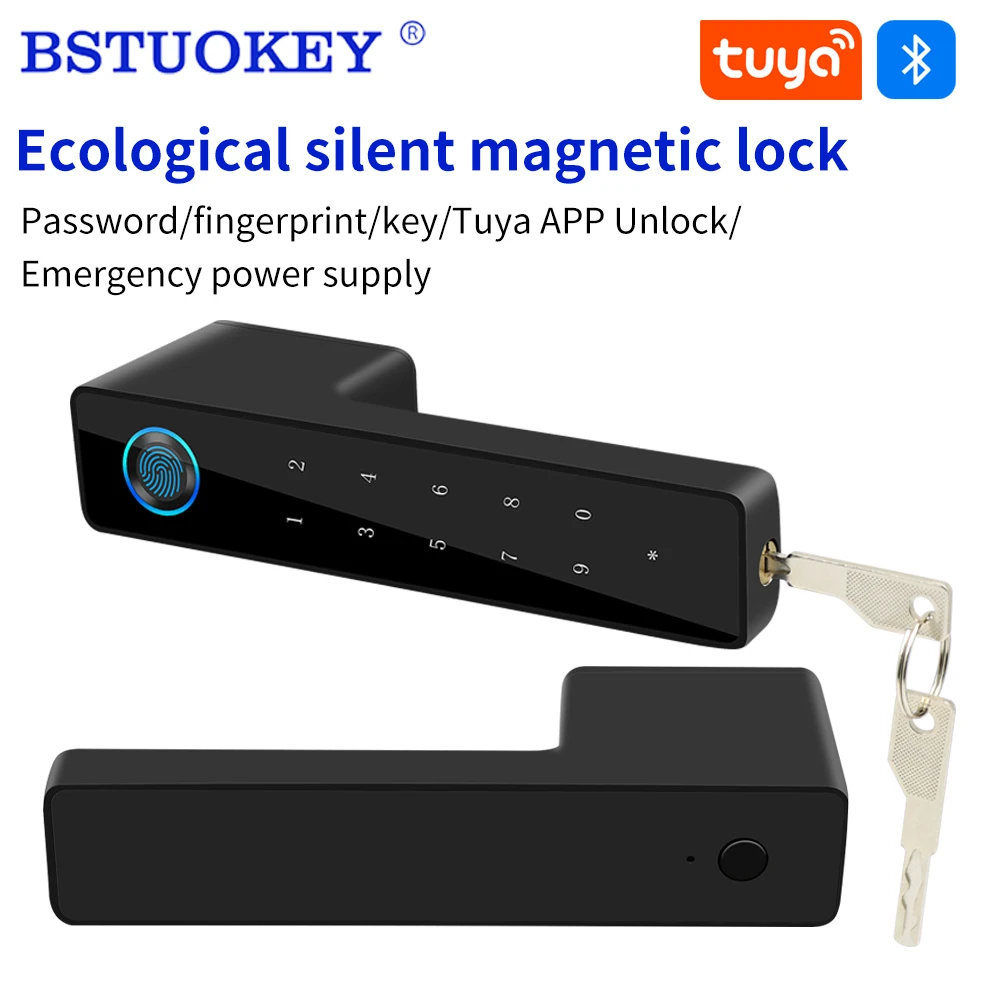 

Tuya Hidden Keyhole Silent Magnetic Suction Door Lock Fingerprint High Quality Security Bedroom Lock Double Handle Mute Lockset