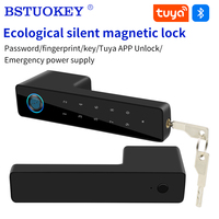 Tuya Hidden Keyhole Silent Magnetic Suction Door Lock Fingerprint High Quality Security Bedroom Lock Double Handle Mute Lockset