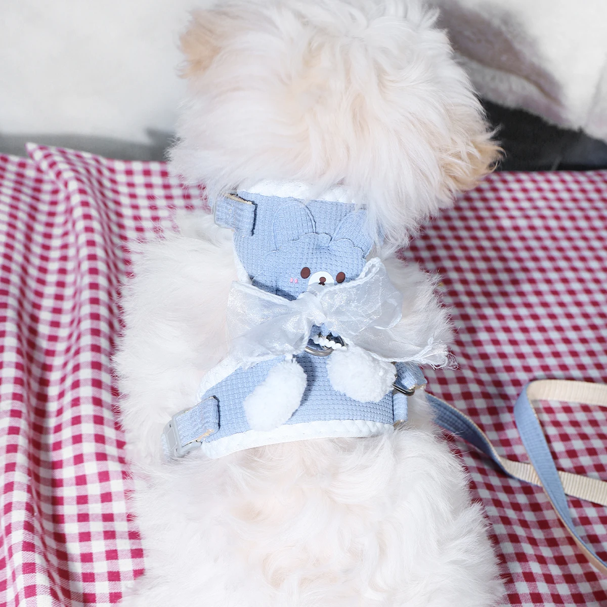 Cartoon Harness Leash Set 3