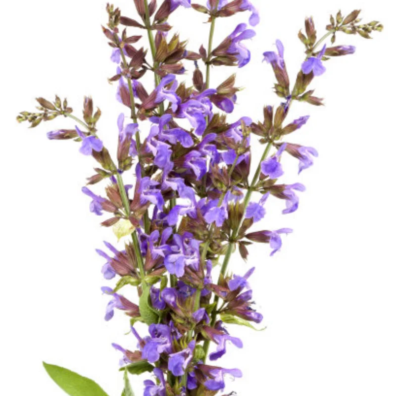 

Metal Upgrade Fixed Pull Rod For MN 1/12 MN82T LC79 MN82S MN82Pro MN82 MN78 MN168 RC Car Parts